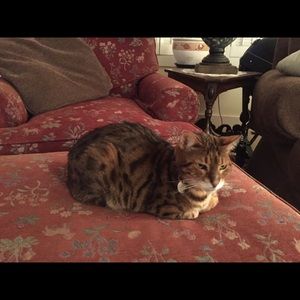 Meet your Posher, Pat