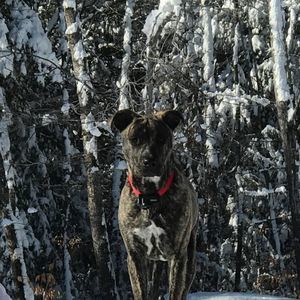 Meet your Posher, Pamela