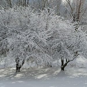 Meet your Posher, Joyce