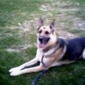 Meet your Posher, Colleen