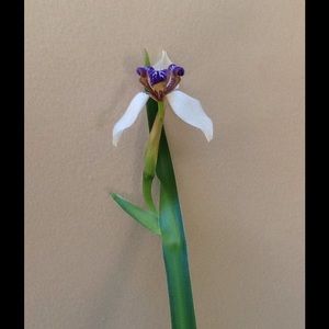 Meet your Posher, Maryanne