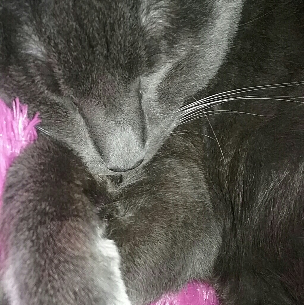 Meet your Posher, Tammy