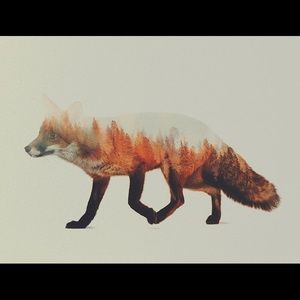 Meet your Posher, Jeanne