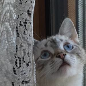 Meet your Posher, Dawn e