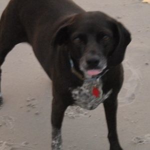 Meet your Posher, Linda