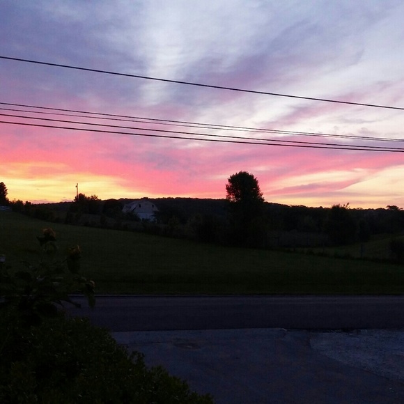 Meet your Posher, Sandra - Picture 2 of 2