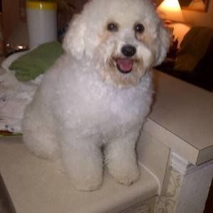 Meet your Posher, Jan