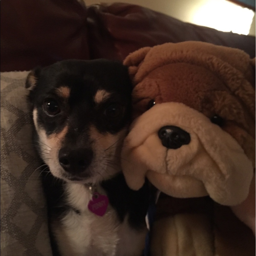 Meet your Posher, Caroline