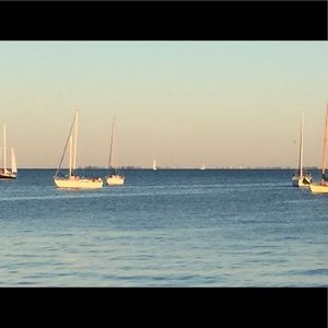 Meet your Posher, Bea