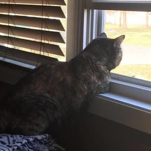 Meet your Posher, Barbara