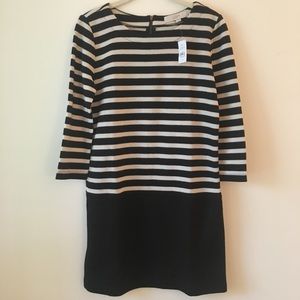 LOFT Knit Shift Dress