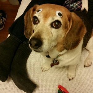 Meet your Posher, Jonathan