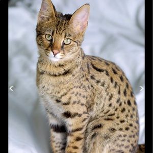 Meet your Posher, Tina