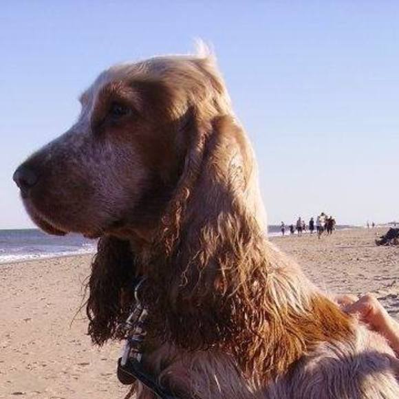 Meet your Posher, Joann - Picture 1 of 1