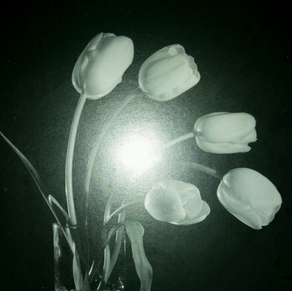 Meet your Posher, Mimi