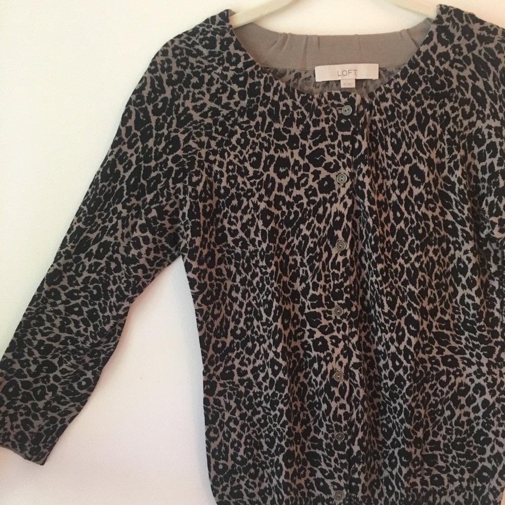 LOFT Knit Cardigan