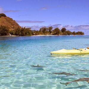 Meet your Posher, Colina