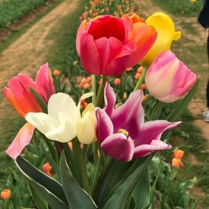 Meet your Posher, Luanne