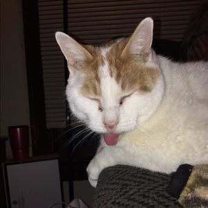 Meet your Posher, Elyse