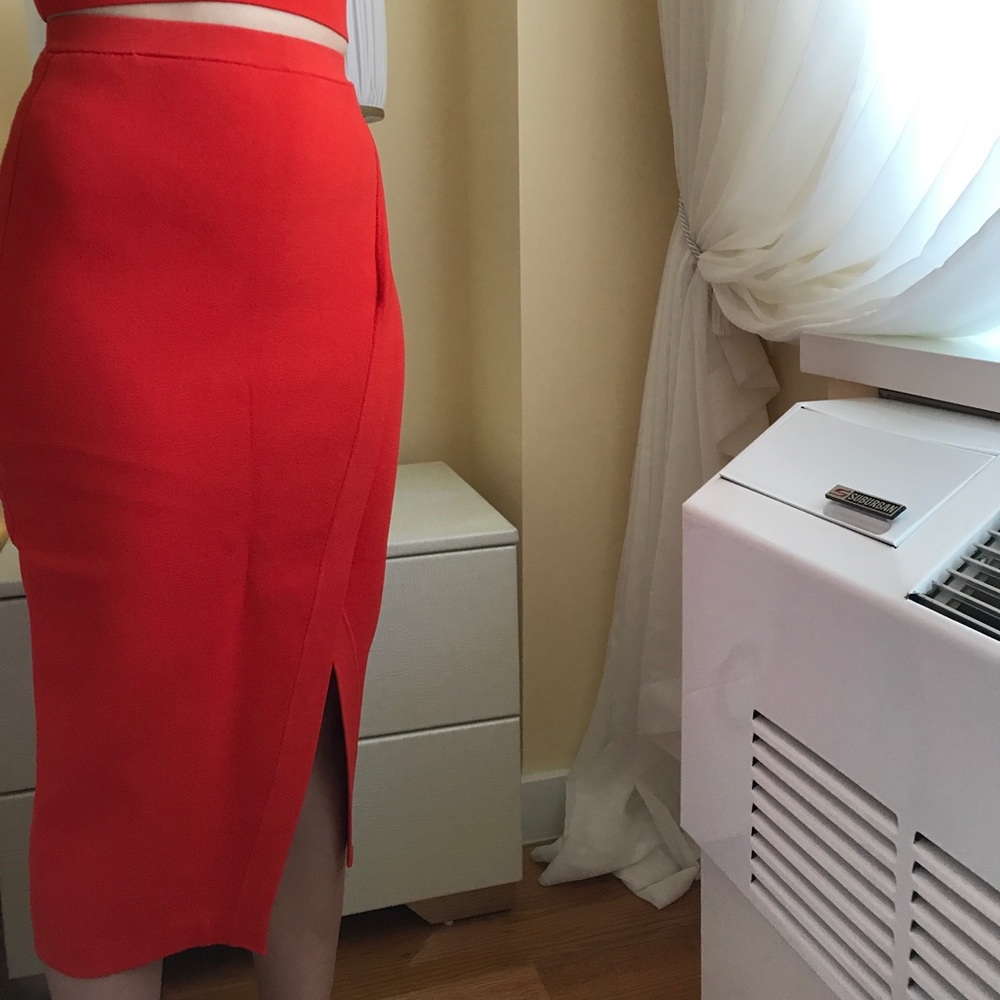 The Ronny Kobo KATYA skirt - Picture 2 of 3