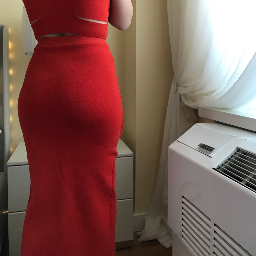 The Ronny Kobo KATYA skirt - Picture 3 of 3