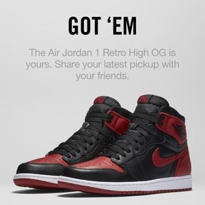 Meet your Posher, Gavin