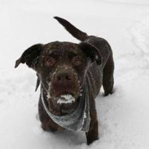 Meet your Posher, Davis