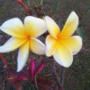 Meet your Posher, Deb