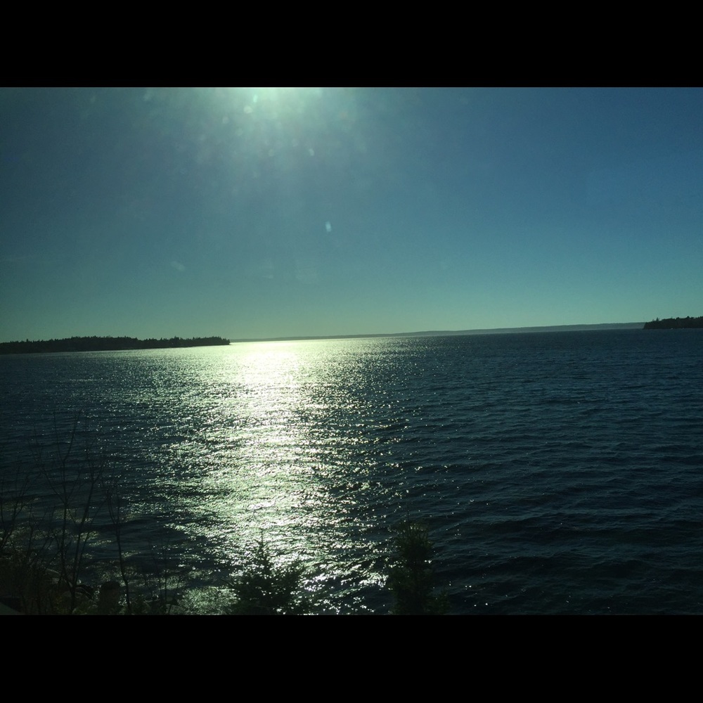 Meet your Posher, Vicki