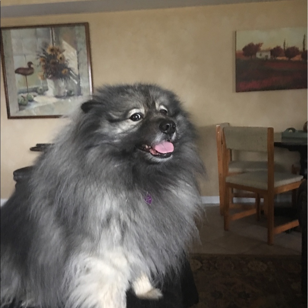 Meet your Posher, Sara