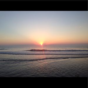 Meet your Posher, Sylvia