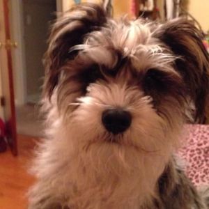 Meet your Posher, Karyn