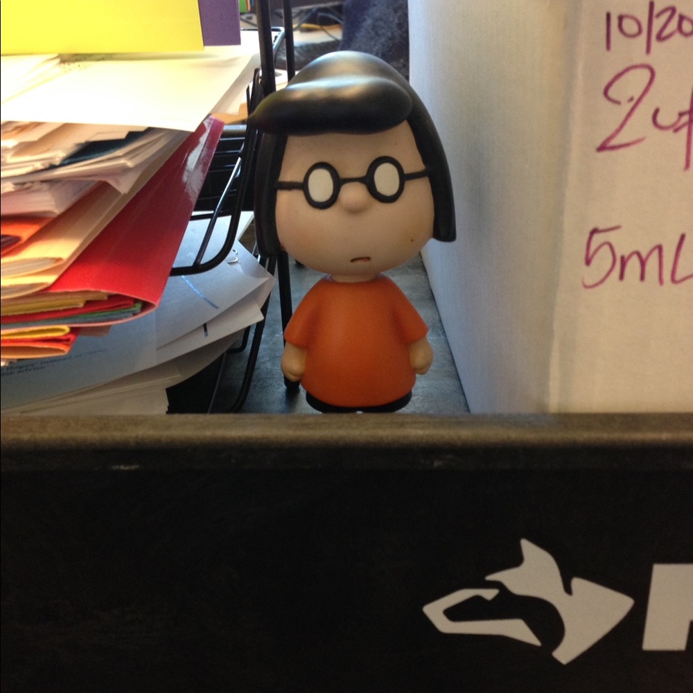 Meet your Posher, Darcy