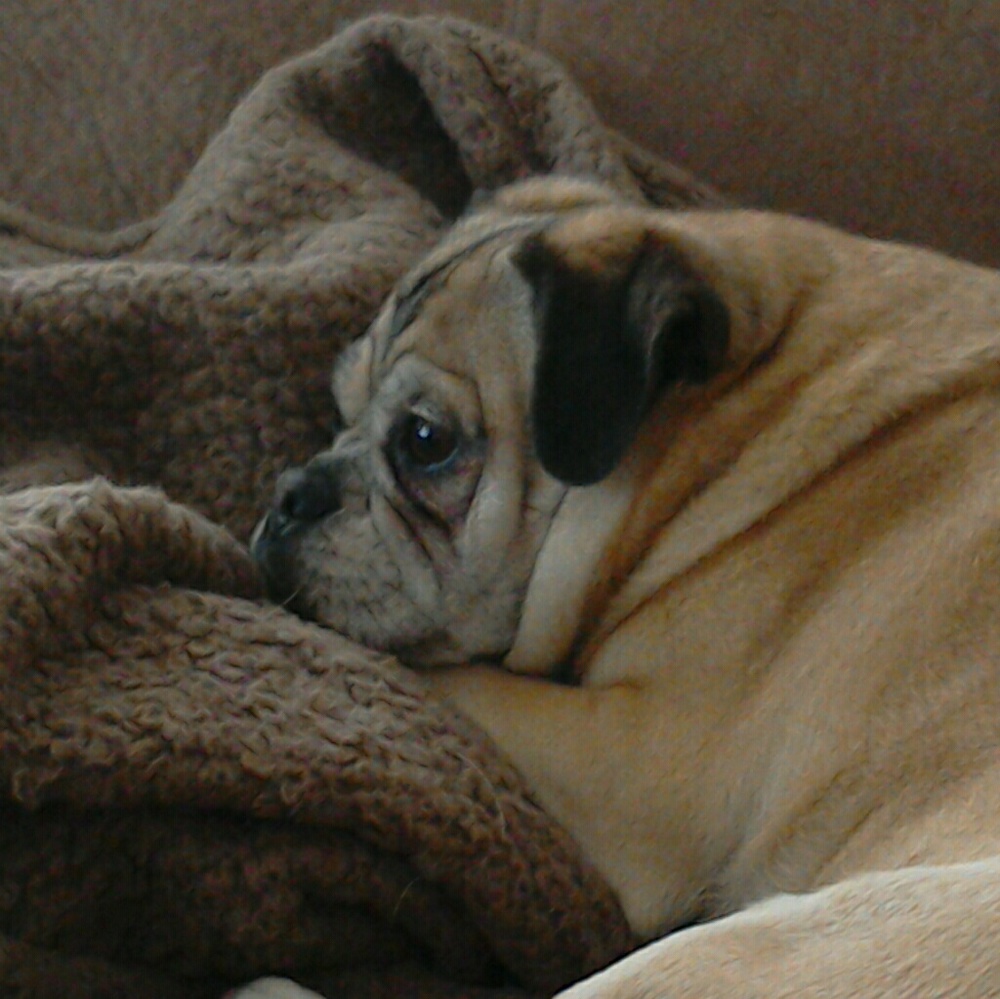 Meet your Posher, Robyn