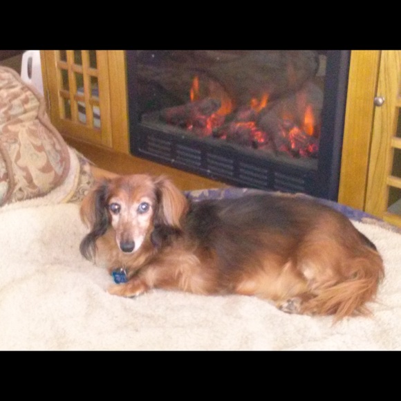 Meet your Posher, Tanya - Picture 4 of 5