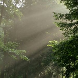 Meet your Posher, Chad