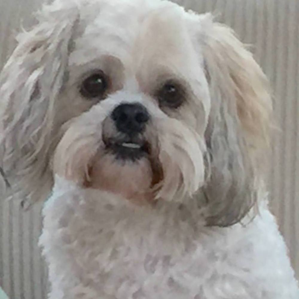 Meet your Posher, Sharon