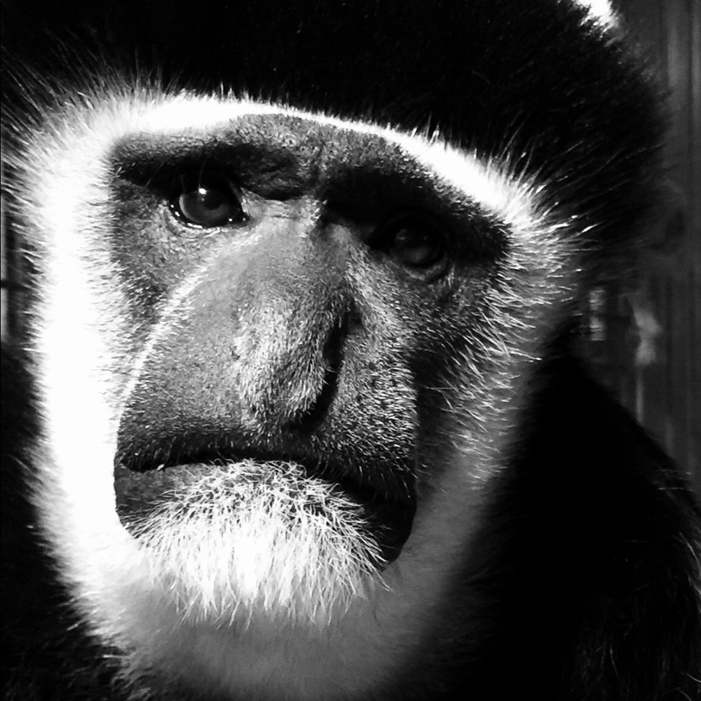 Meet your Posher, Jade