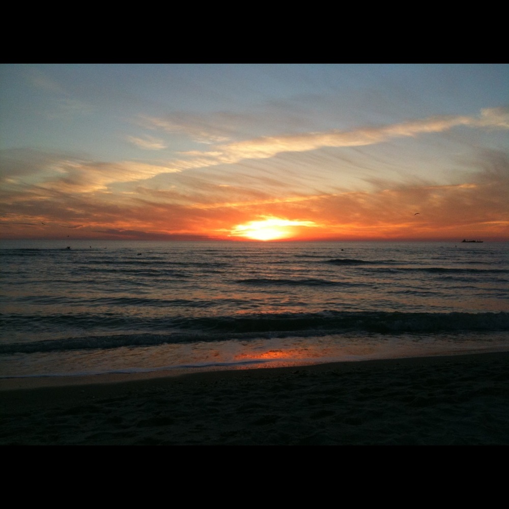 Meet your Posher, Julia