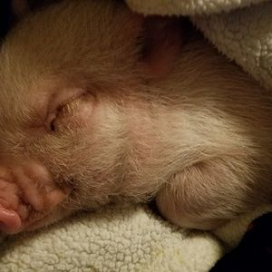 Meet your Posher, Amie