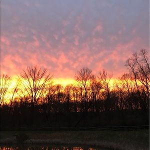 Meet your Posher, Kunal