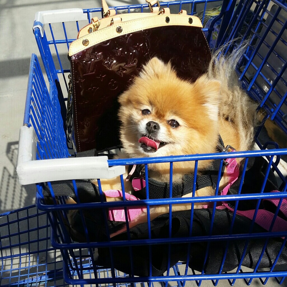 Meet your Posher, Jen