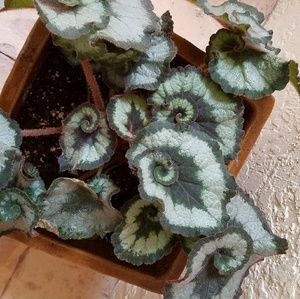 Meet your Posher, Af