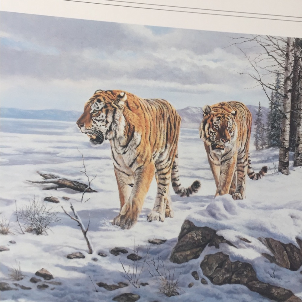 Meet your Posher, Irene