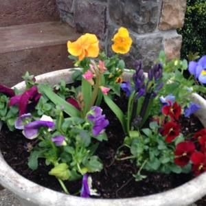 Meet your Posher, Claudia