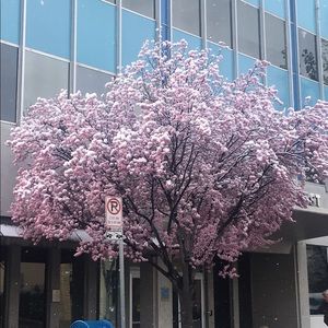 Meet your Posher, Rebecca