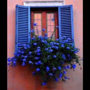 Meet your Posher, Joann