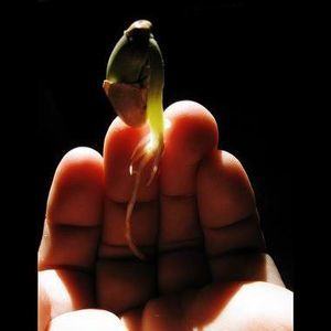 Meet your Posher, Alan