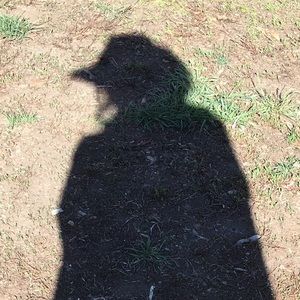 Meet your Posher, Vicki