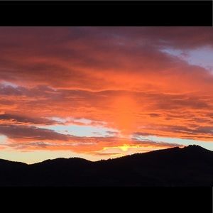 Meet your Posher, Carol